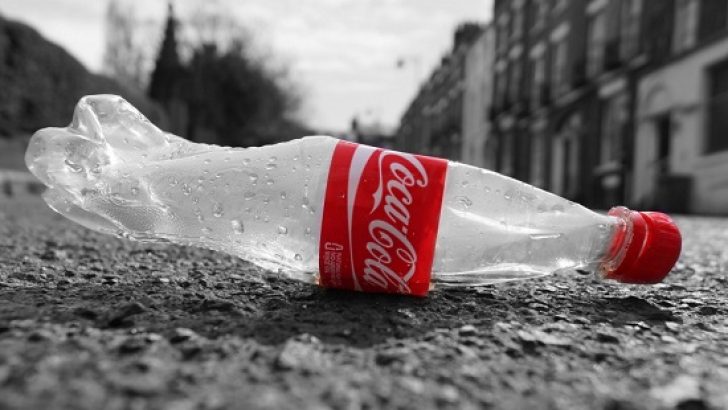 Coca-Cola, geri dönüşüm kültürüne dikkat çekiyor